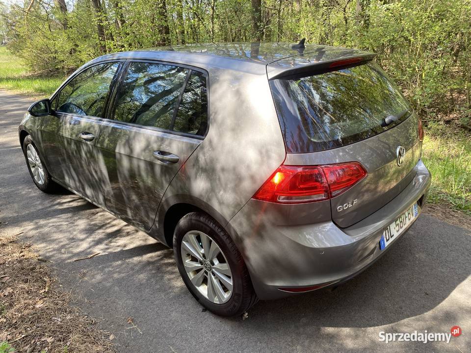Volkswagen Golf VII 16 TDI 105 Navi Aktywny nieuszkodzony Kępno