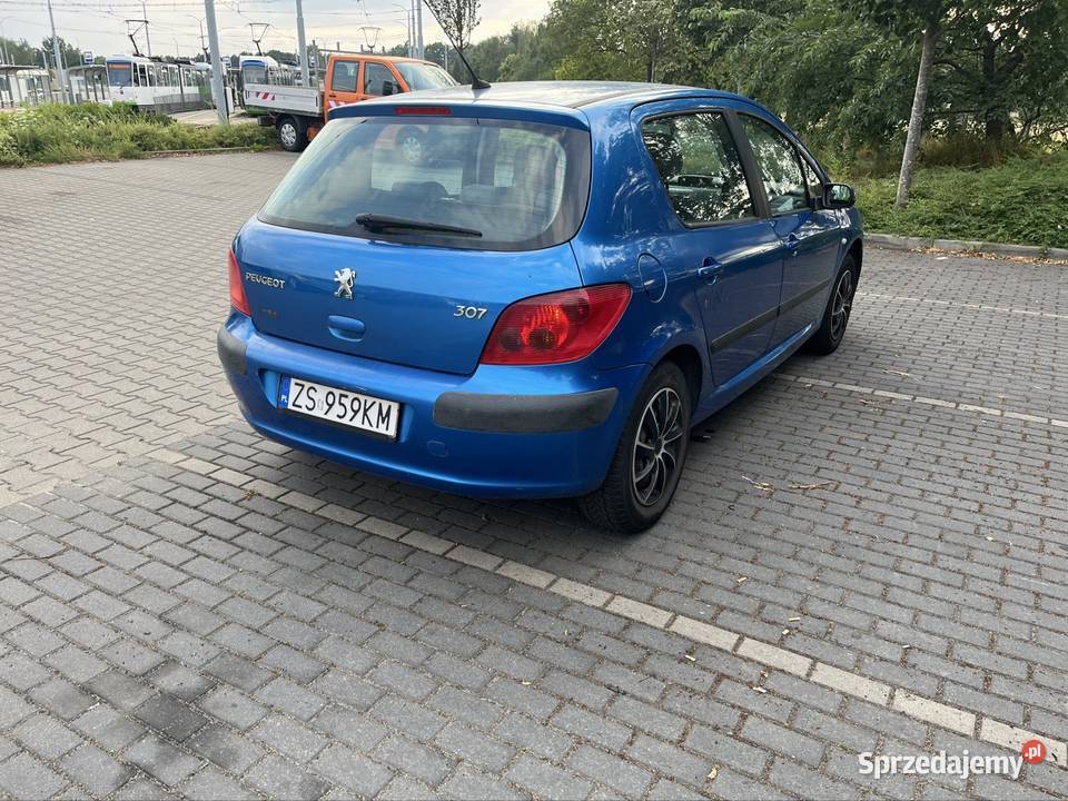 Peugeot 307 2004 16 benzyna 110 benzyna Szczecin
