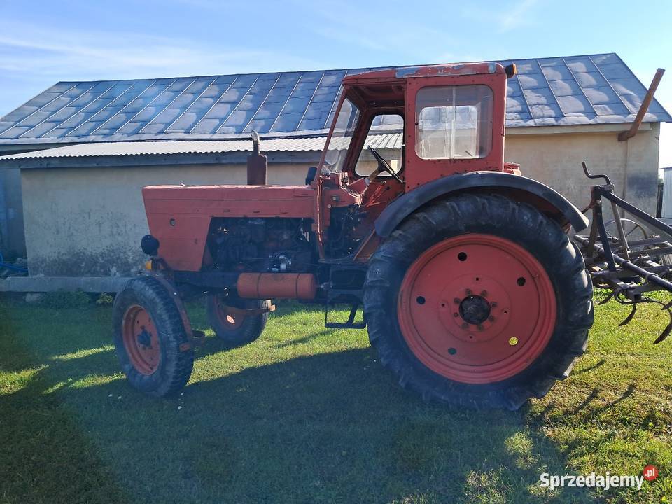 Ciągnik MTZ 82r Pławanice