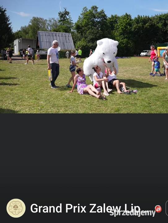 Imprezowy miś królik i panda Września