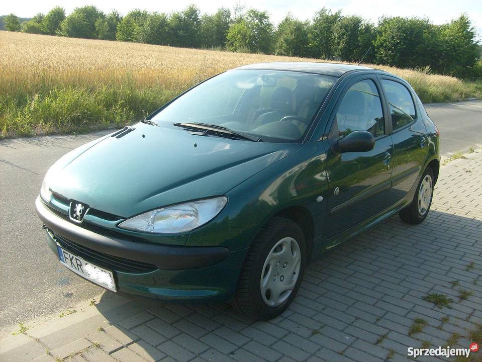 peugeot 206 Roland Garros skóra dach panoramiczn skórzana tapicerka Zielona Góra