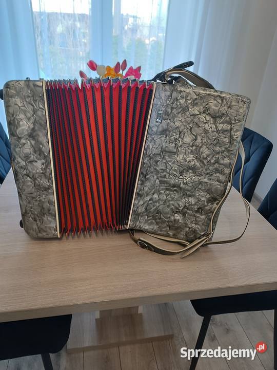 Akordeon victoria 80 basów