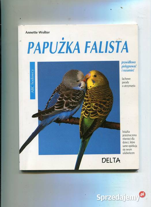 Papużka falista Wolter Pozostałe Szczecin