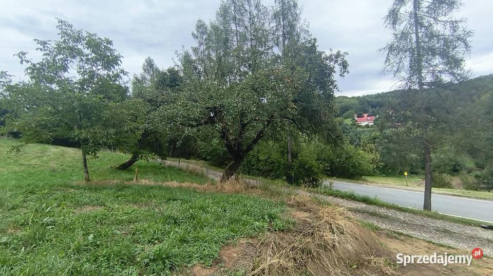 Działka w Janowicach Sprzedaż sprzedam