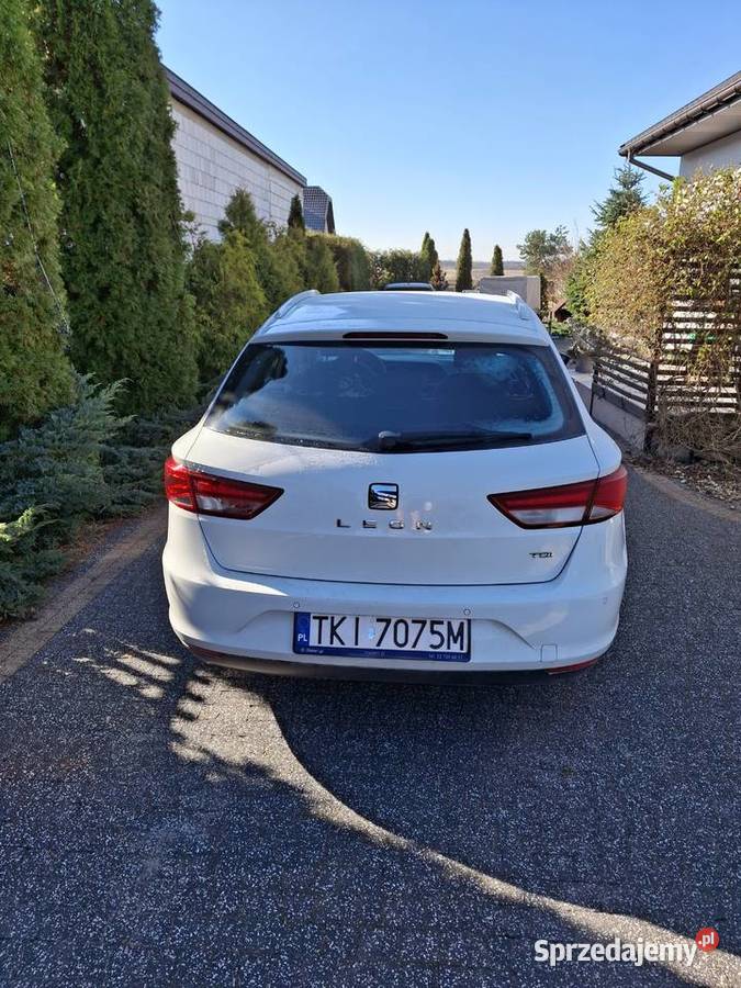 Seat Leon Leon świętokrzyskie Wincentów