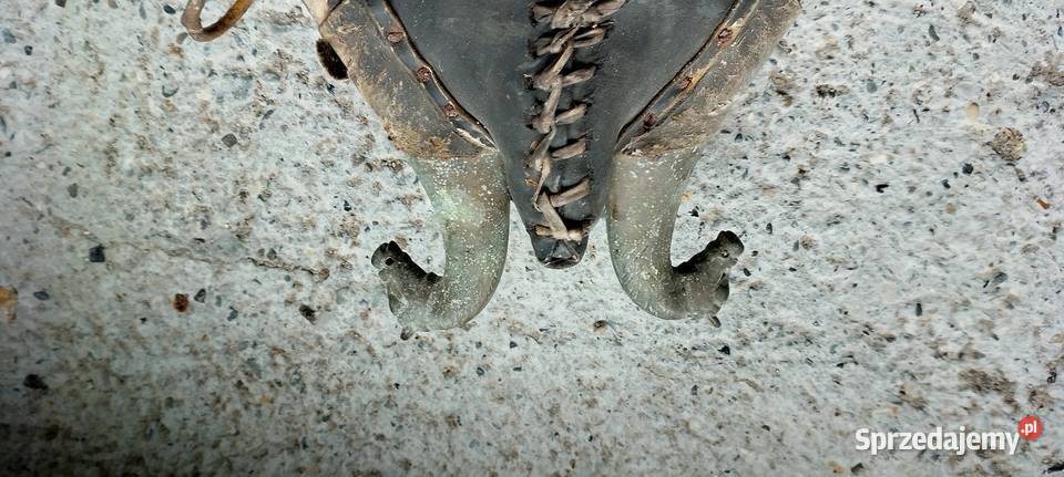 Chomonto na foto kolekcjonerowi Jarosław