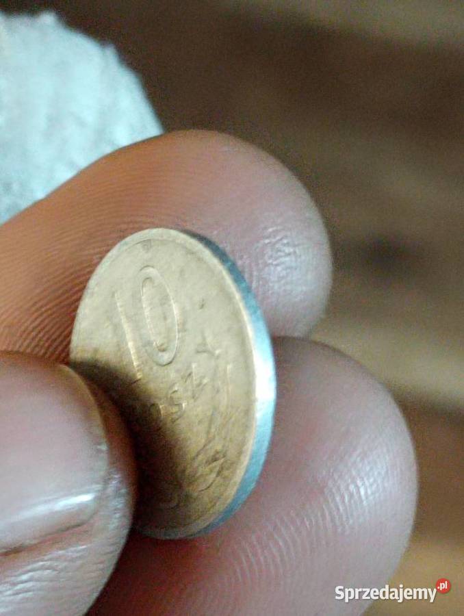 Sprzedam drugie 10 gr 1949 r bzm Chełm
