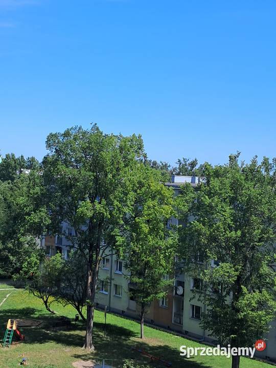 Słoneczne z pięknym widokiem 2pokojowe Piotrków Trybunalski