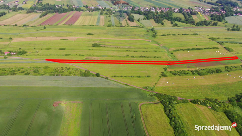 Działka rolna PorębaNiwki asfalt Nieruchomości śląskie Poręba