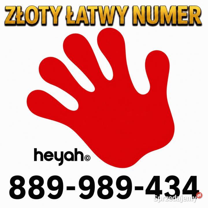Złoty Łatwy Numer 889989434 Heyah świętokrzyskie Pińczów