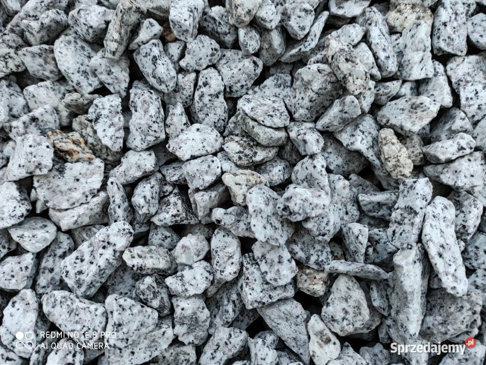 Grys Granitowy 1622 szary Dalmatyńczyk Kamień małopolskie Oświęcim