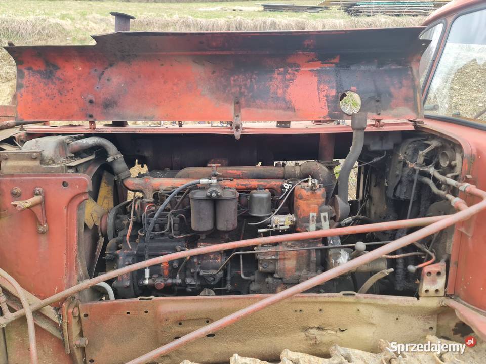 DT75 spychacz gąsienicowy Więciórka sprzedam