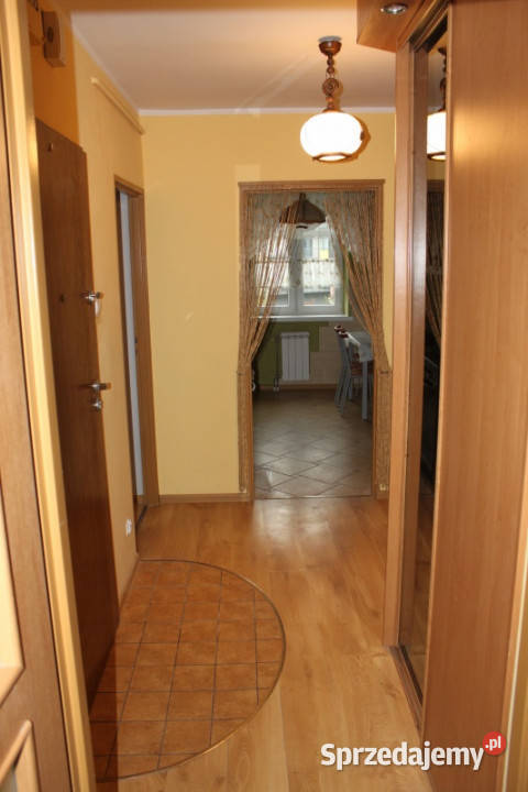 Mieszkanie 3pokPszona 41 69 m2 Kraków internet sprzedam