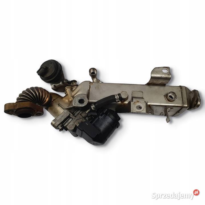 CHŁODNICA SPALIN BMW E90 F10 F11 F30 20 D Chełm
