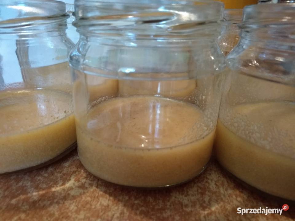 Mleczko pszczele trutowe Gomogenat Trutowy Pszczelarstwo Warszawa sprzedam