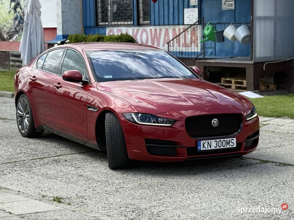 Jaguar xe nowy Nowy Sącz