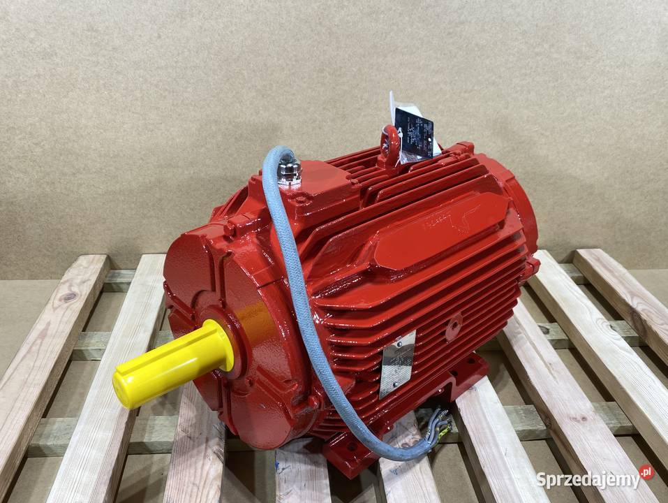 silnik elektryczny 185kW 2940obr 3fazowy DO Pigża