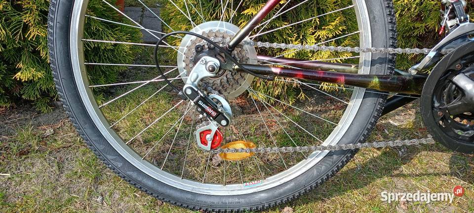 Rower młodzieżowy 24