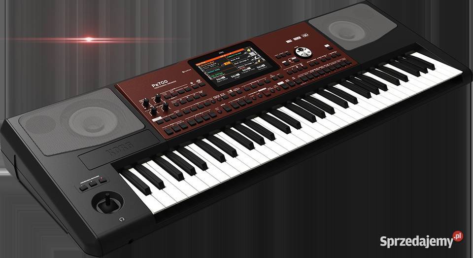 STYLE KORG PA700 PA1000 PA4X Sample Kultura i Rozrywka podkarpackie Rzeszów