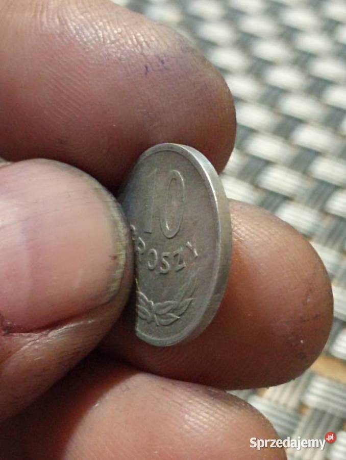 Sprzedam drugie 10 gr 1969 Chełm
