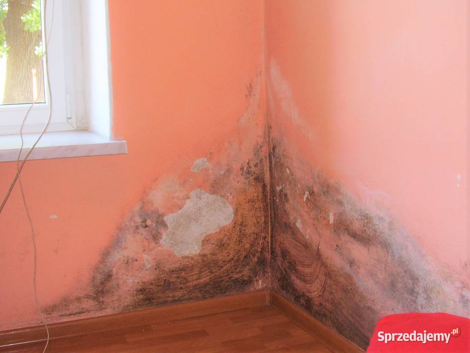 Montaż nawiewników okiennych Świdnica gwarancja