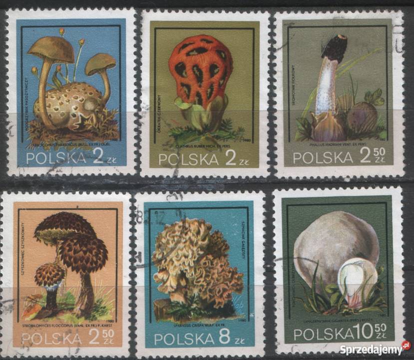 Zn Fi 2545 50 kas 1980 Gliwice