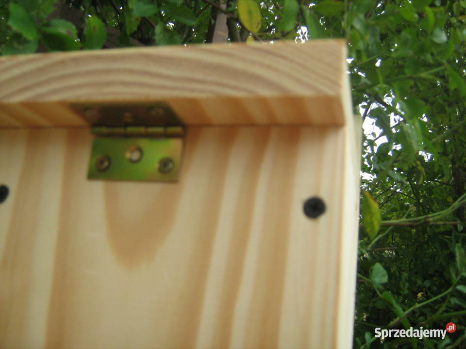 Budka pełzacz Sławno