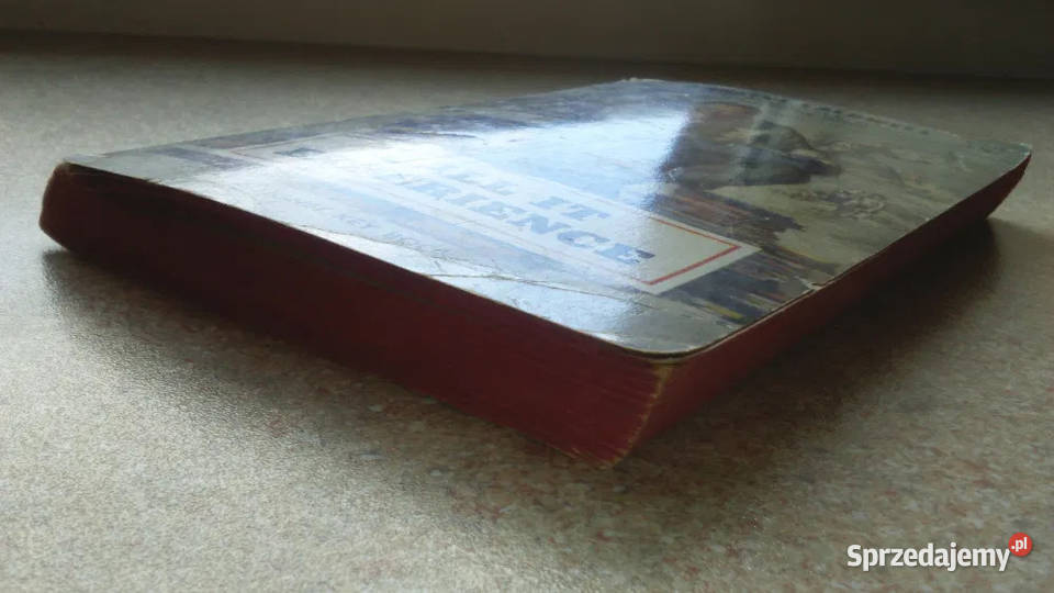 Oryg Książka w Języku Ang Call It Experience Gliwice