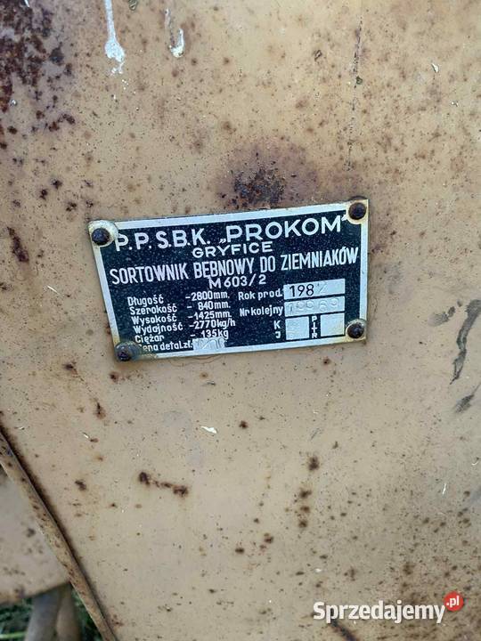 Sortownik do ziemniaków Strzelno