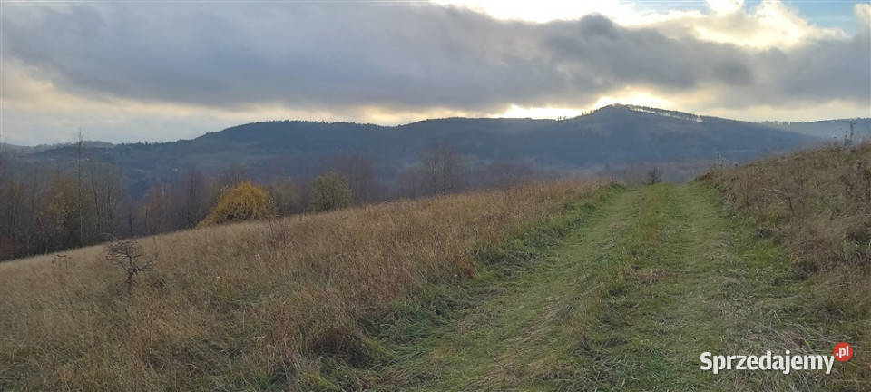 Zbuduj swój azyl w Górach Sowich dolnośląskie Walim sprzedam