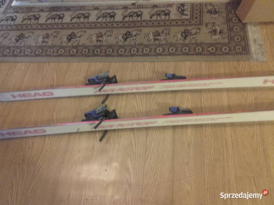 narty head m5 monotop Będzin