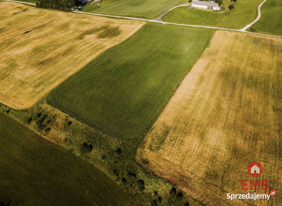 Działka 12000m2 Żegary