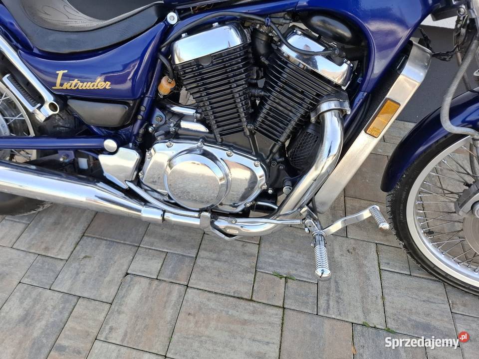 Suzuki vs 800 intruder 27 koni A2 519426269 Chobrzany