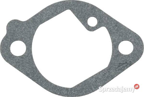 Uszczelka kolektora ssącego 699800 Kamionna