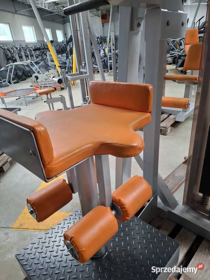 Maszyna na mięśnie skośne brzucha Rotary Torso Wałcz
