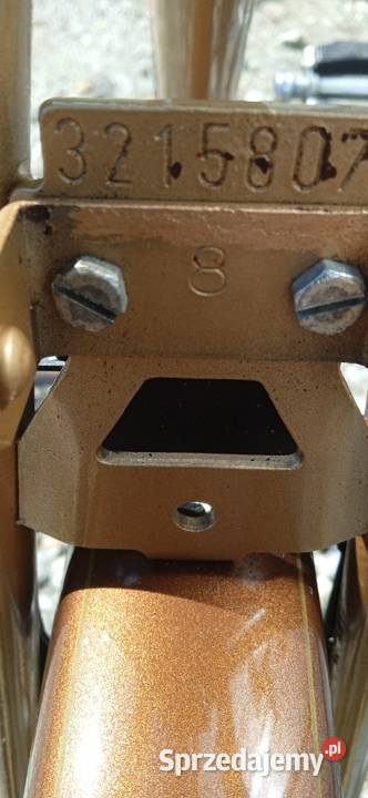 Rower holenderski GAZELLE Sport Primur z 1973r mazowieckie Gostynin