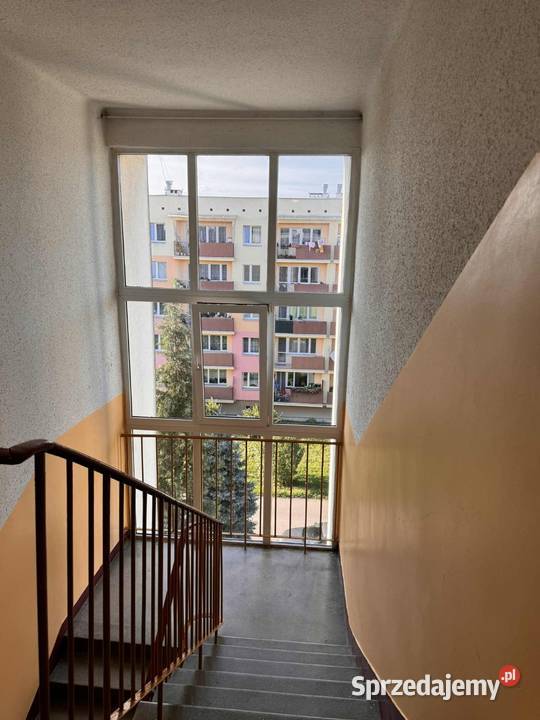 Kawalerka ofiar katynia Przemyśl