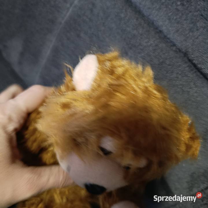 pluszowa zabawka małpka Poznań