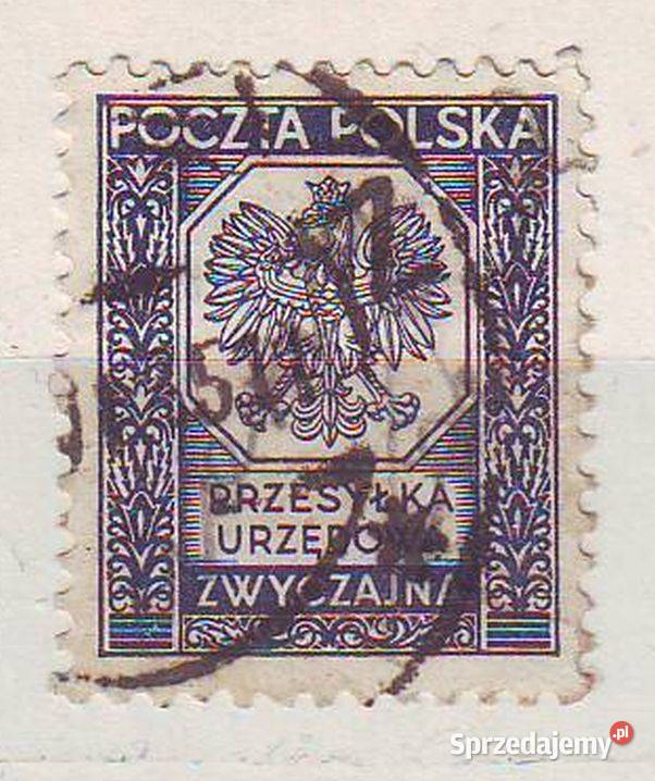 Zn PMW Fi U 17 kas 33 19 kas 35 Gliwice