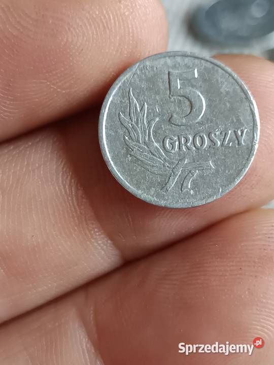 Sprzedam t groszy 1949 Chełm