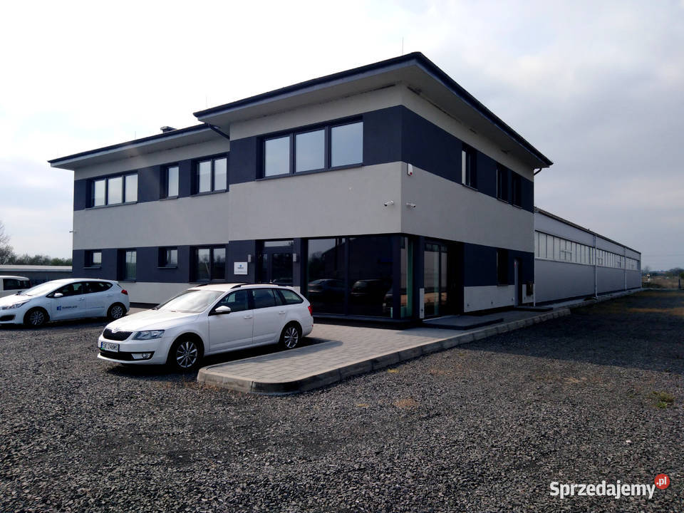 Okno PVC Rehau Synego 1000x1500mm Prochowice