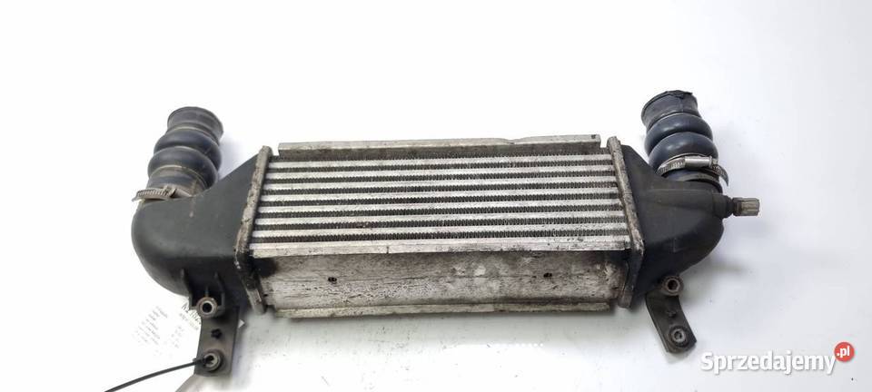 INTERCOOLER FORD FOCUS osobowe sprzedam