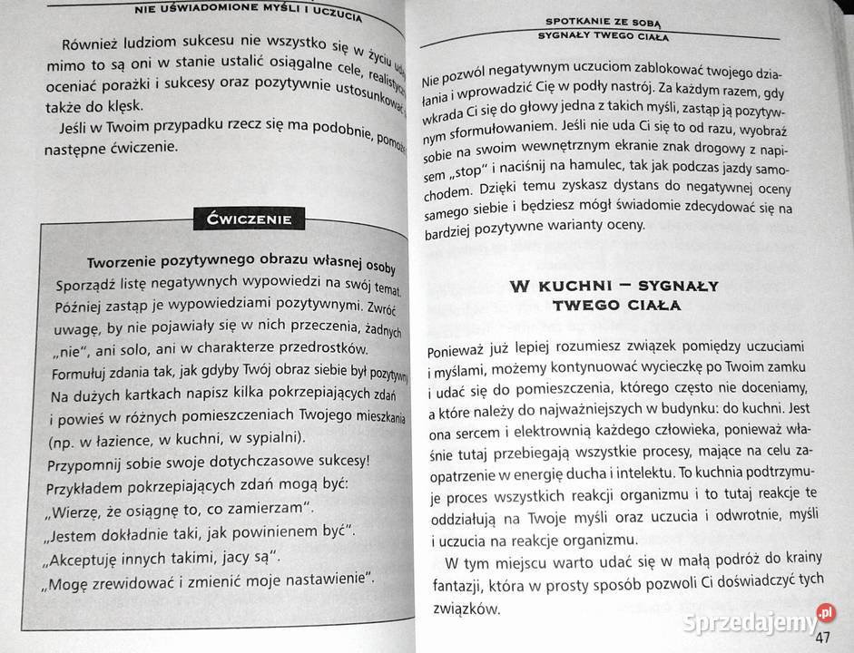 Inteligencja emocjonalna Testy EQ Marion M Sehr Chełm