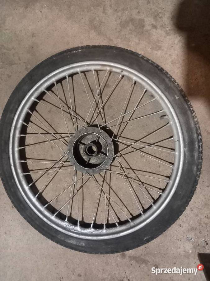 Kolo zak ryś Sokołów Podlaski