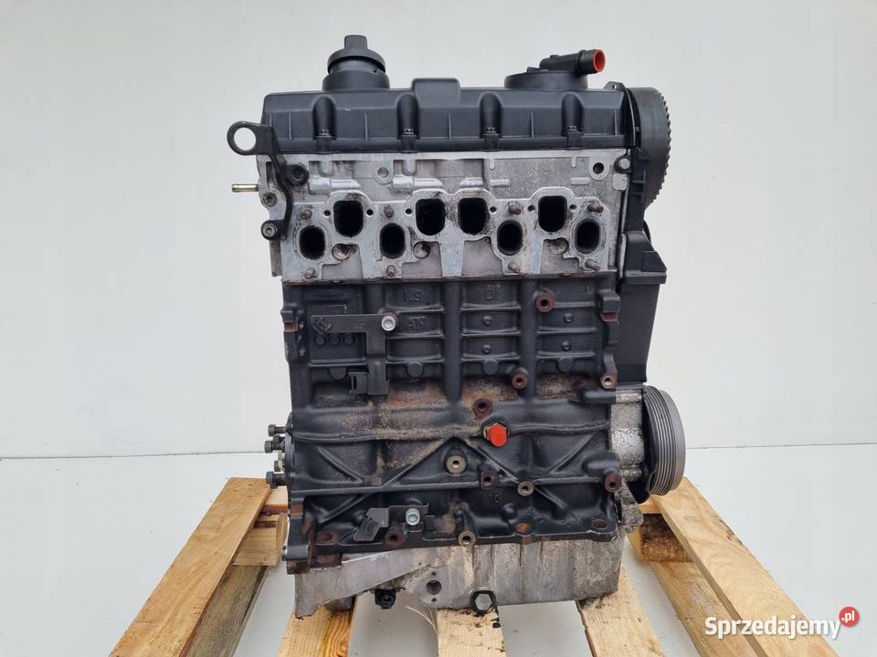 SILNIK SILNIK VW Sharan 0010r 19 TDI 90 pali ANU Rudka
