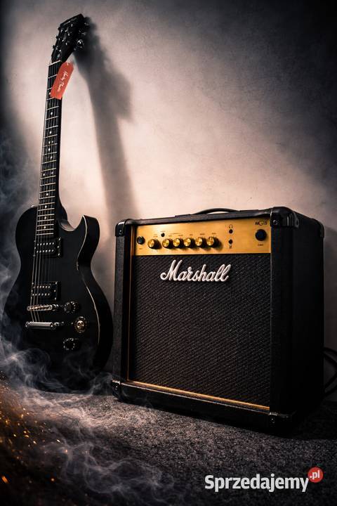 HARLEY BENTON WZMACNIACZ 15W Wrocław