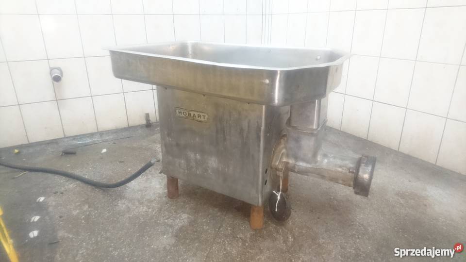 Wilk HOBART Polkowice