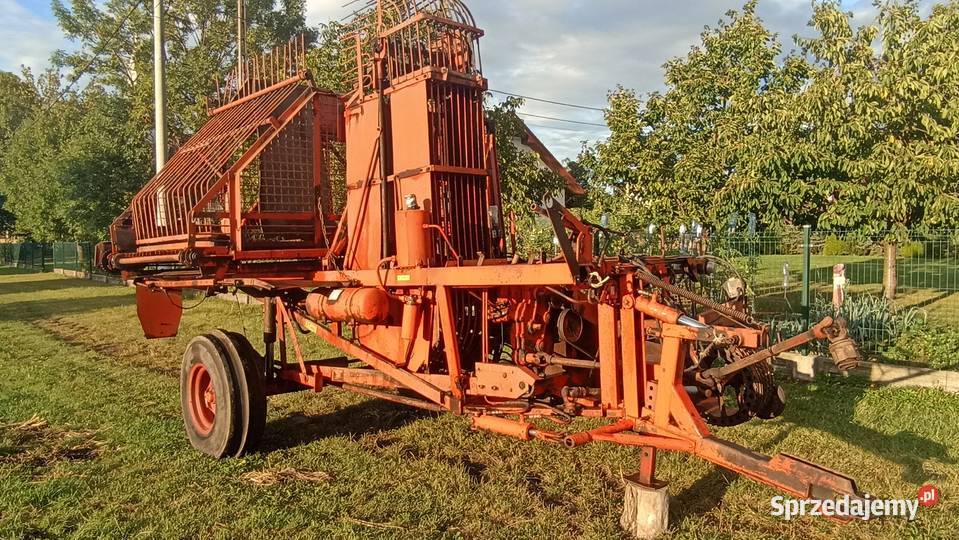 Kombajn buraczany Neptun Z413 Gułów
