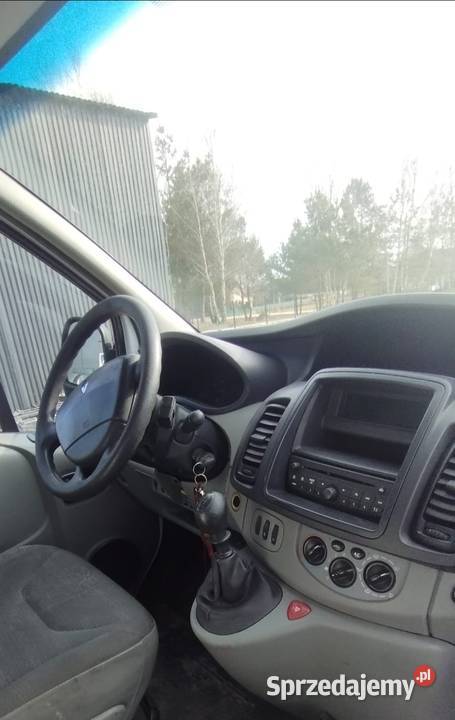 Renault trafic Braniewo