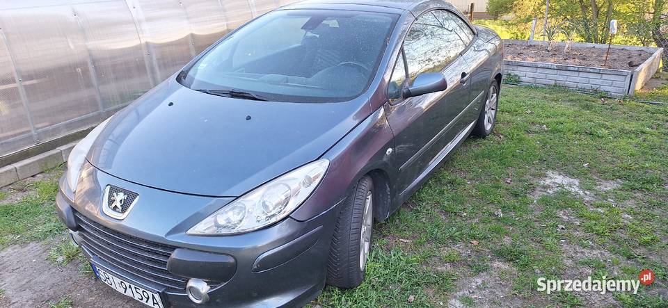 Peugeot 307 cabrio mazowieckie Sochaczew sprzedam